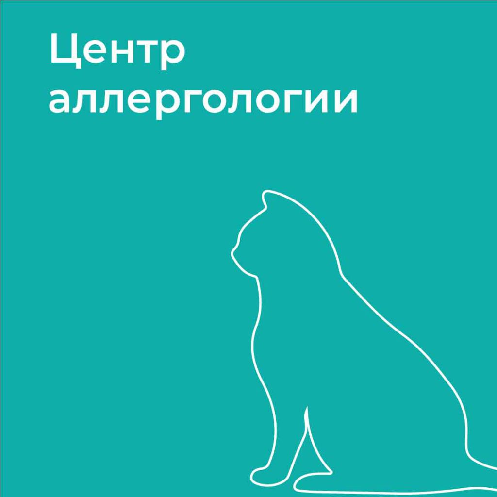 Аллерголог-иммунолог в Мурманске в клинике «ФламингоМед». Консультация  врача аллерголога, платно, запись на прием онлайн, цена. — «ФламингоМед»